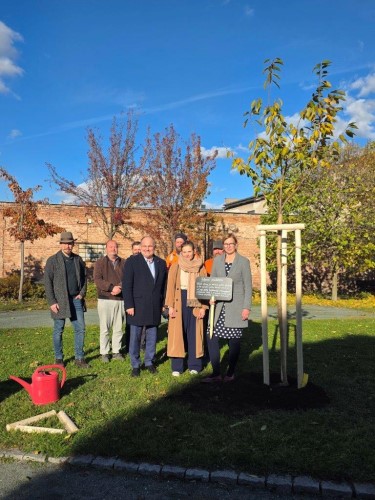 Sakura přátelství – dar Náchoda Hradci Králové k 800. výročí